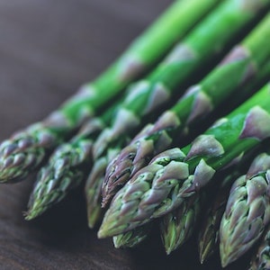 The Benefits Of Asparagus For Labrador dogs