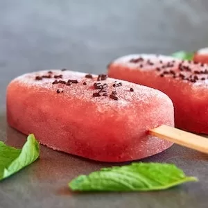 Top 10 Homemade Labrador dog Popsicle Recipe Ideas  