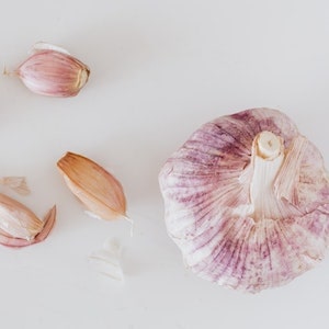 Treating Garlic Toxicity In Labrador Dogs