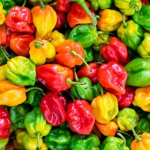 What Are The Health Benefits Of Bell Peppers 