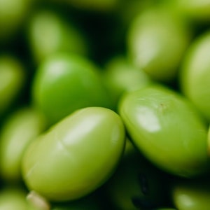 What Are The Potential Health Benefits Of Edamame For Labrador Dogs