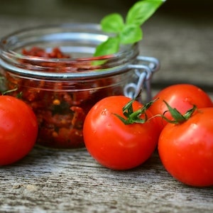 What Happens If A Labrador dog Eats A Tomato 