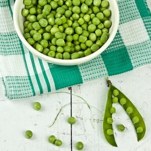 What Kinds Of Peas Can Labrador Dogs Eat 