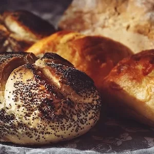 What Should I Do If My Labrador dog Eats Bread 