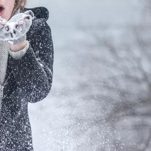 4 Good Reasons Why Labrador dogs Enjoy Eating Snow