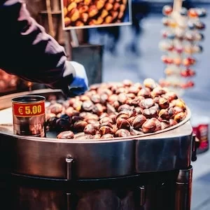 Are Chestnuts Good For Labrador dogs 