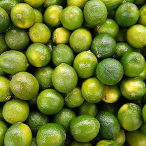 Are Limes Good For Labrador dogs? 