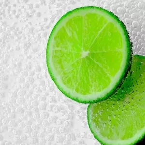 Are Limes Toxic For Labrador dogs