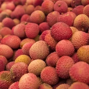 Are Lychees Good For Labrador dogs 