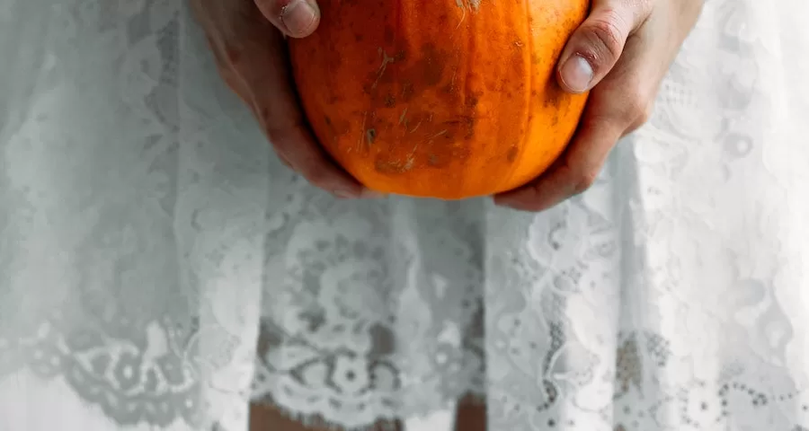 Can Labrador Dogs Eat Pumpkin Guts