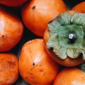 How To Safely Prepare Persimmons For Labrador dogs 