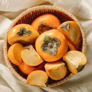 Is Persimmon Good For Labrador dogs