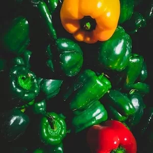 Risks Involved With Giving Labrador dogs Bell Peppers 