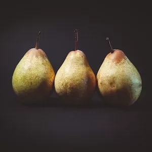 Risks Of Feeding Pears To Labrador dogs  