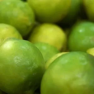 Symptoms Of Lemon And Lime Poisoning In Labrador dogs 