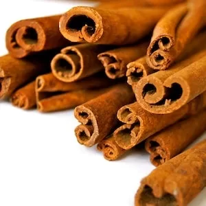 What Kind Of Cinnamon Is Good For Labrador dogs  