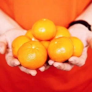 Are Clementines Good For Labrador dogs