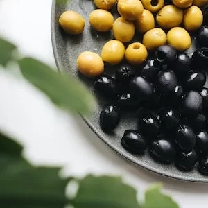 Are Olives Nutritionally Beneficial To Labrador dogs 