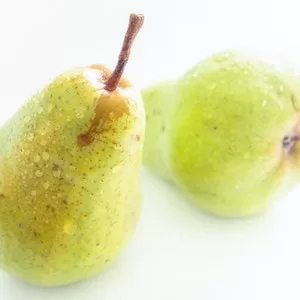 Are Pears Healthy For My Labrador dog
