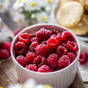 Are Raspberries Good For Labrador dogs