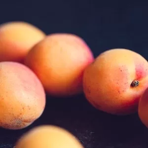 Benefits Of Feeding Peaches To Labrador dogs 