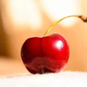 Can Cherries Be Bad For Labrador dogs