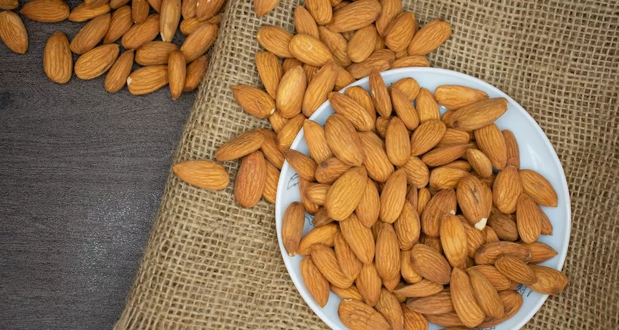 Can Labrador Dog Eat Almonds