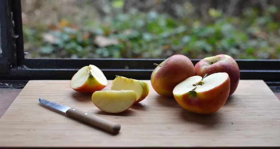 Can Labrador Dogs Eat Apple Core