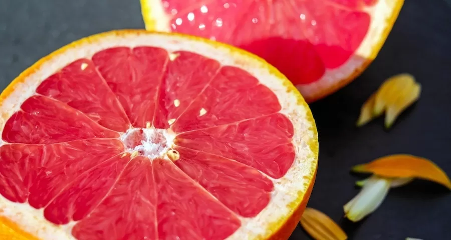 Can Labrador Dogs Eat Grapefruit