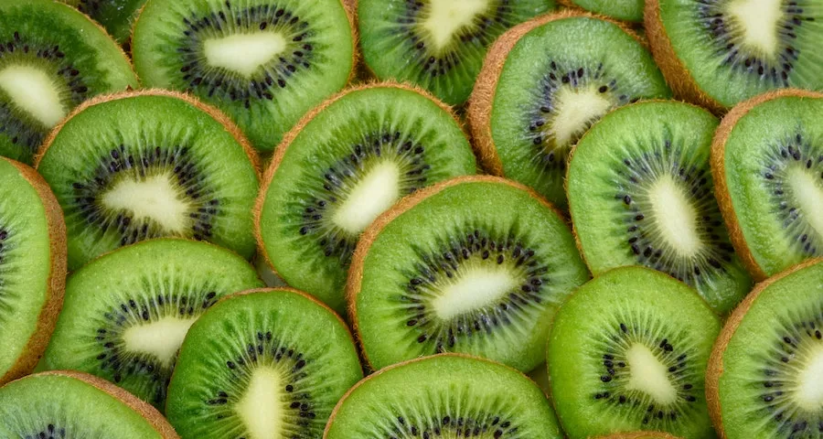 Can Labrador Dogs Eat Kiwi