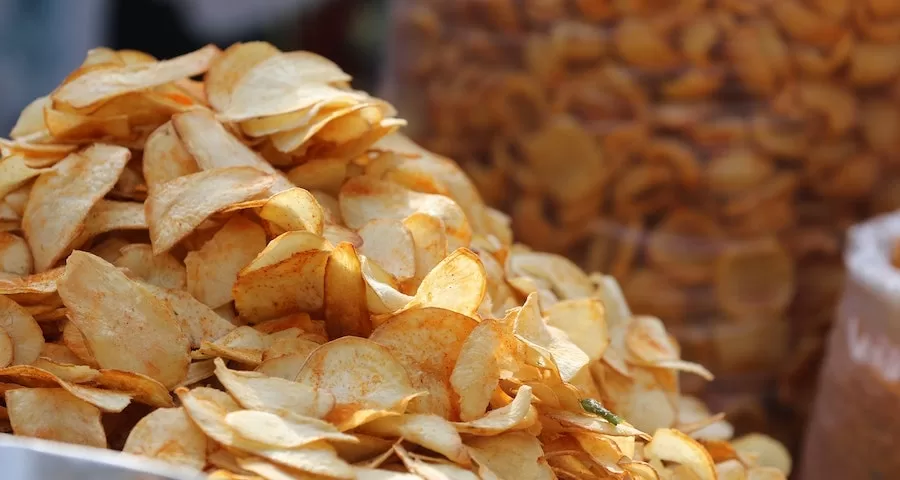 Can Labrador Dogs Eat Potato Chips