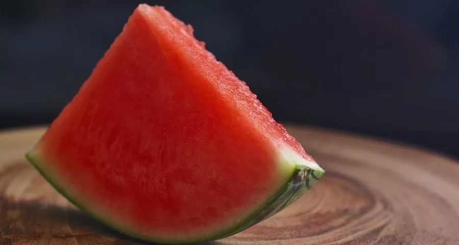 Can Labrador Dogs Eat Watermelon