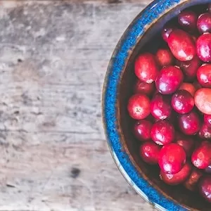 Can Labrador dogs Eat Dried Cranberries