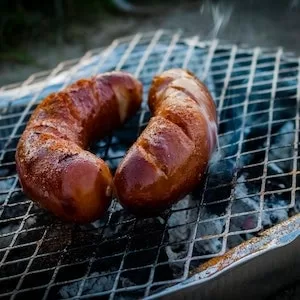 Can Labrador dogs Eat Turkey Bologna 