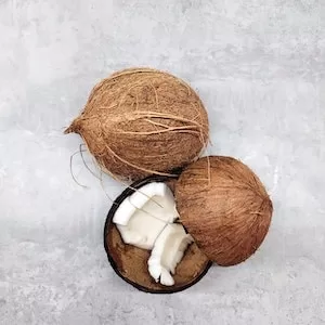 Coconut Benefits For Labrador dogs 