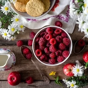 How Are Raspberries Good For Labrador dogs 