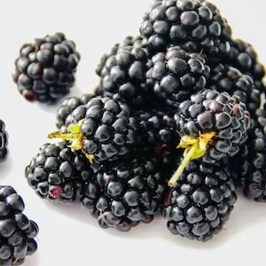 How Many Blackberries Can Labrador dogs Eat     