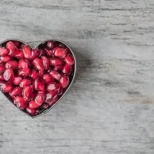 How Many Pomegranate Seeds Can Labrador dogs Eat 