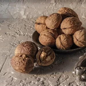 How To Prepare Walnuts For Labrador dogs  