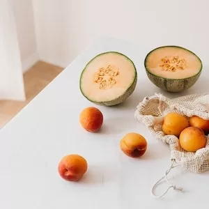 Is Cantaloupe Safe For Labrador dogs 