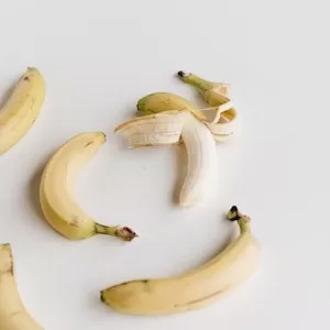 Other Ways To Feed Bananas To Your Labrador dog 