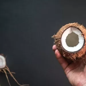 Symptoms Of Feeding Too Much Coconut 