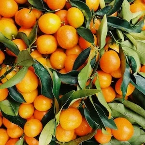 Treatment For Fruit Or Orange Poisoning 