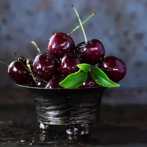 What To Do If Your Labrador dog Ate Cherries 