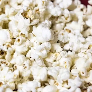 Which Popcorn Is Best For Labrador dogs